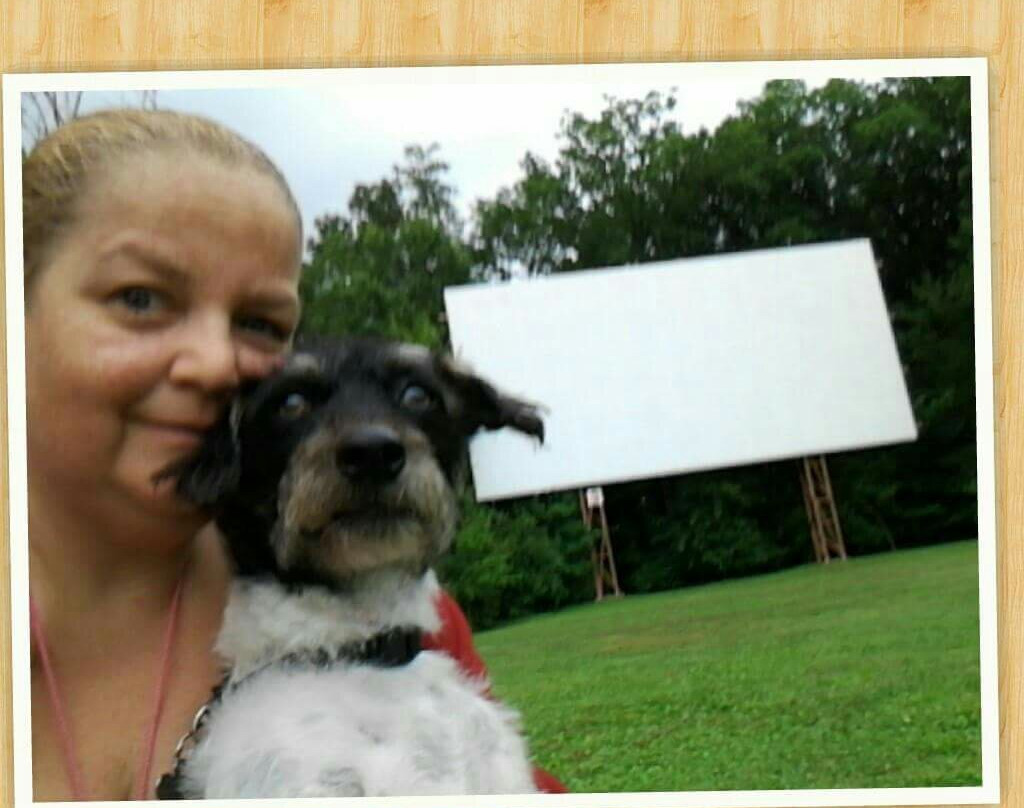 Elm Road Triple Drive-In-Warren必去景点