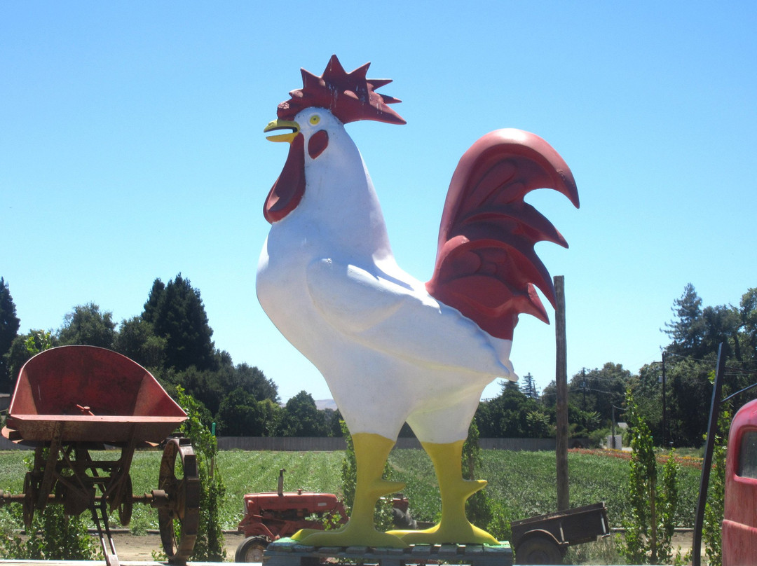 Larry's Produce-费尔菲尔德必去景点