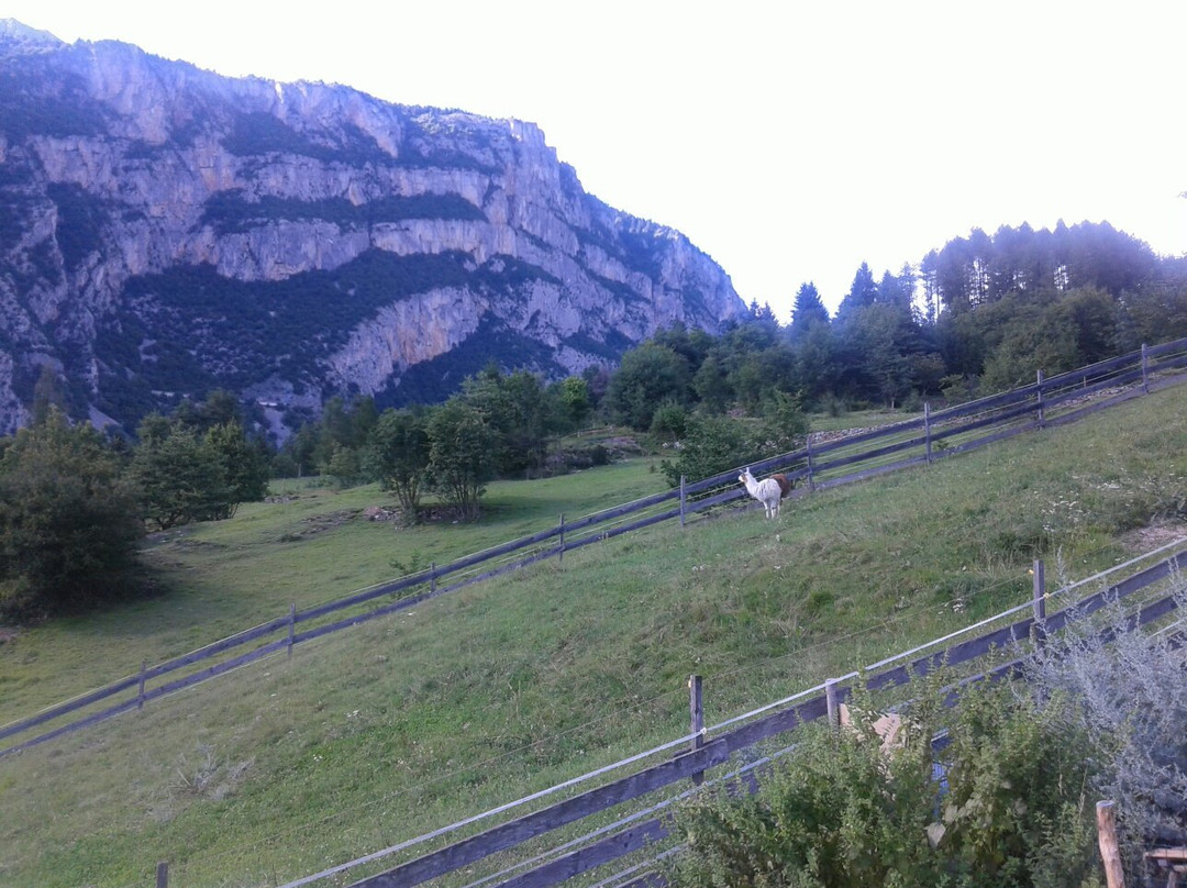 Agriturismo Fattoria Athabaska