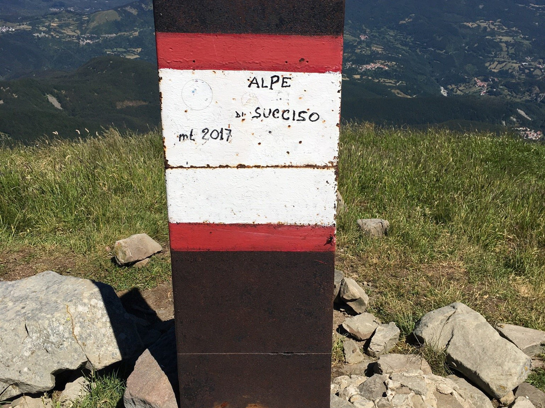 Alpe di Succiso景点图片