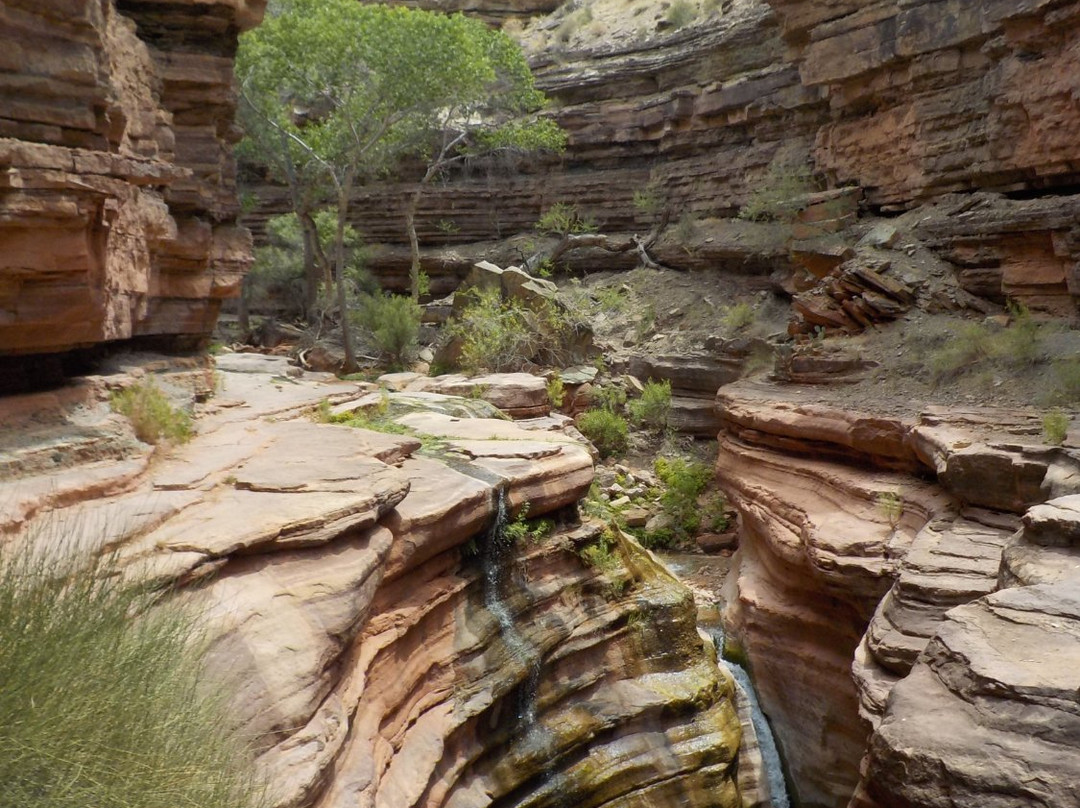Deer Creek Trail-大峡谷国家公园必去景点
