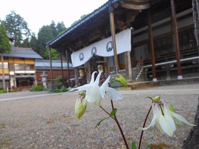 Sairin-ji Temple-白山市必去景点