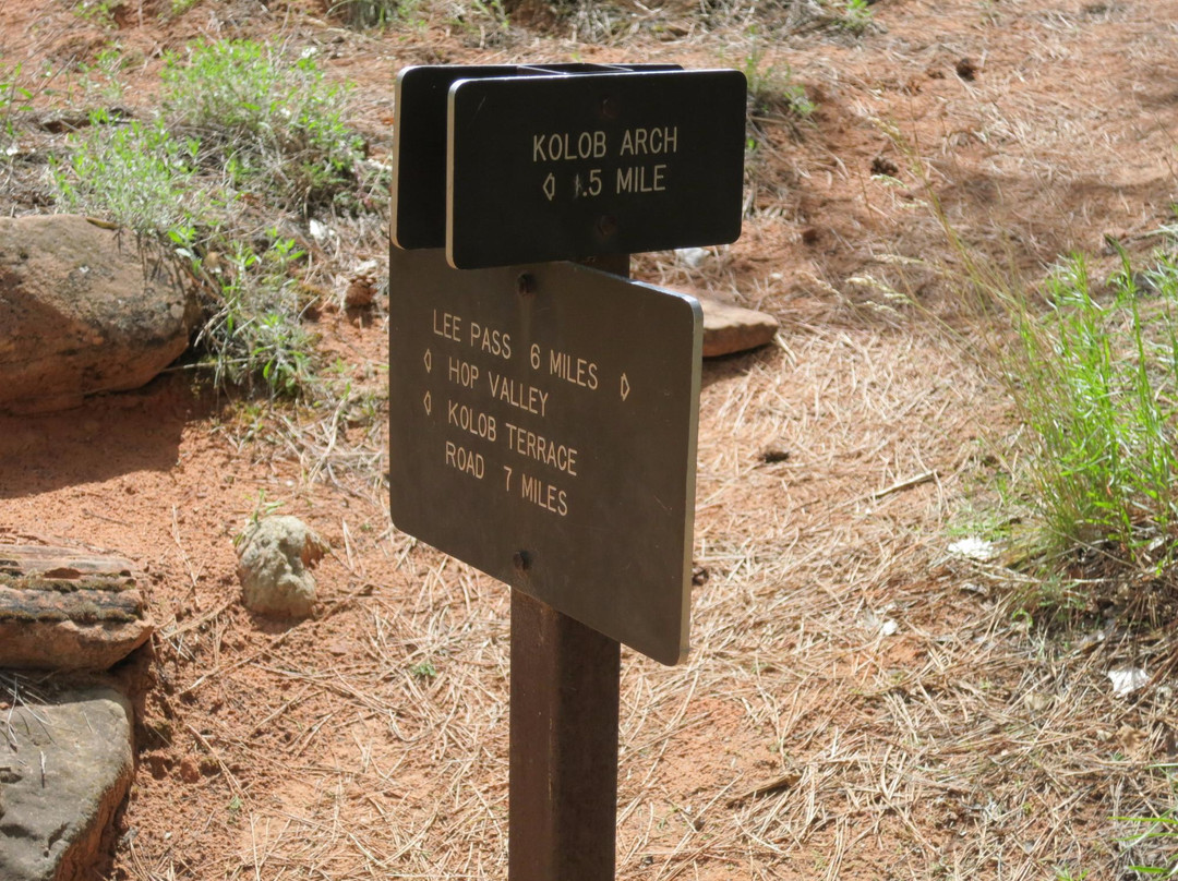La Verkin Creek/Kolob Arch Trails-锡安国家公园必去景点