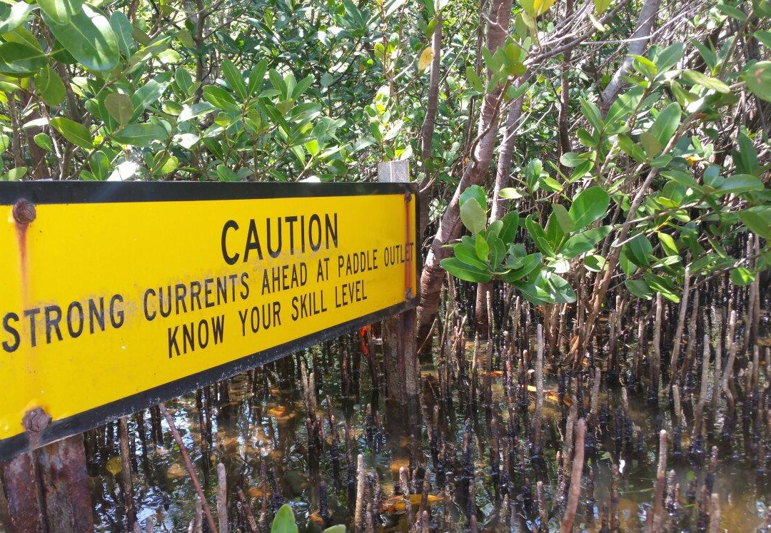 Kayak Jacks Paddlesports-布雷登顿必去景点