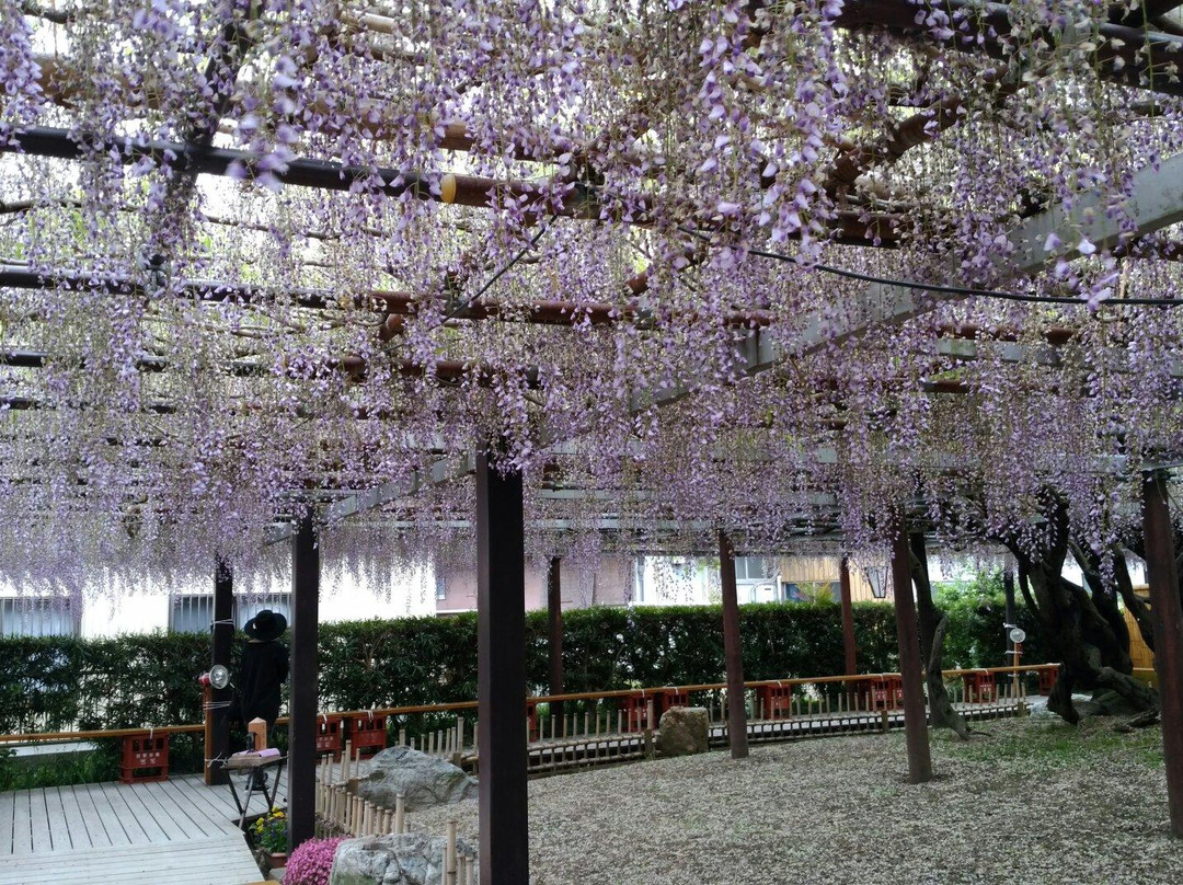Empuku-ji Temple-龟山市必去景点