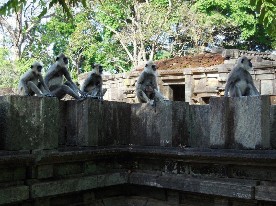 Siva Devalaya (No 1)-波隆纳鲁瓦必去景点