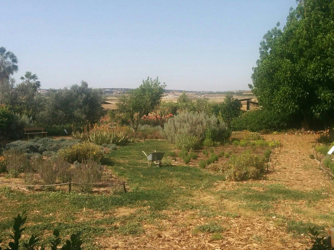 Nahalal旅游攻略图片