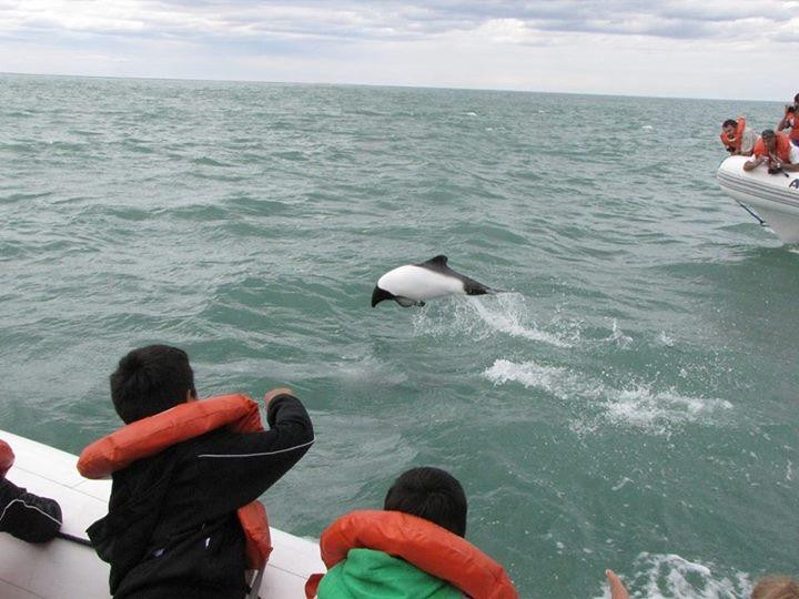 Toninas Adventure-Puerto Rawson必去景点