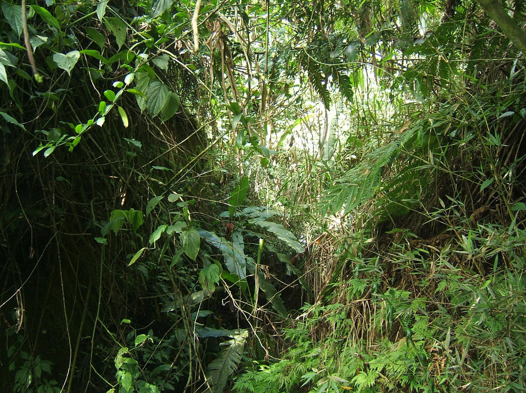 Bonita Farm-佩雷拉必去景点