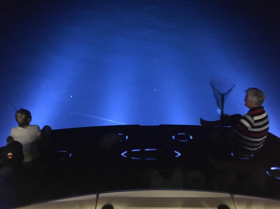 Tropika Events & Travel-亚庇必去景点