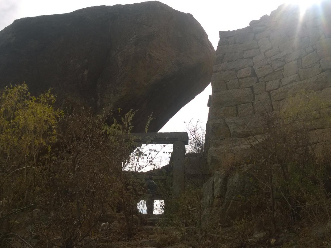 Rachakonda Fort景点图片