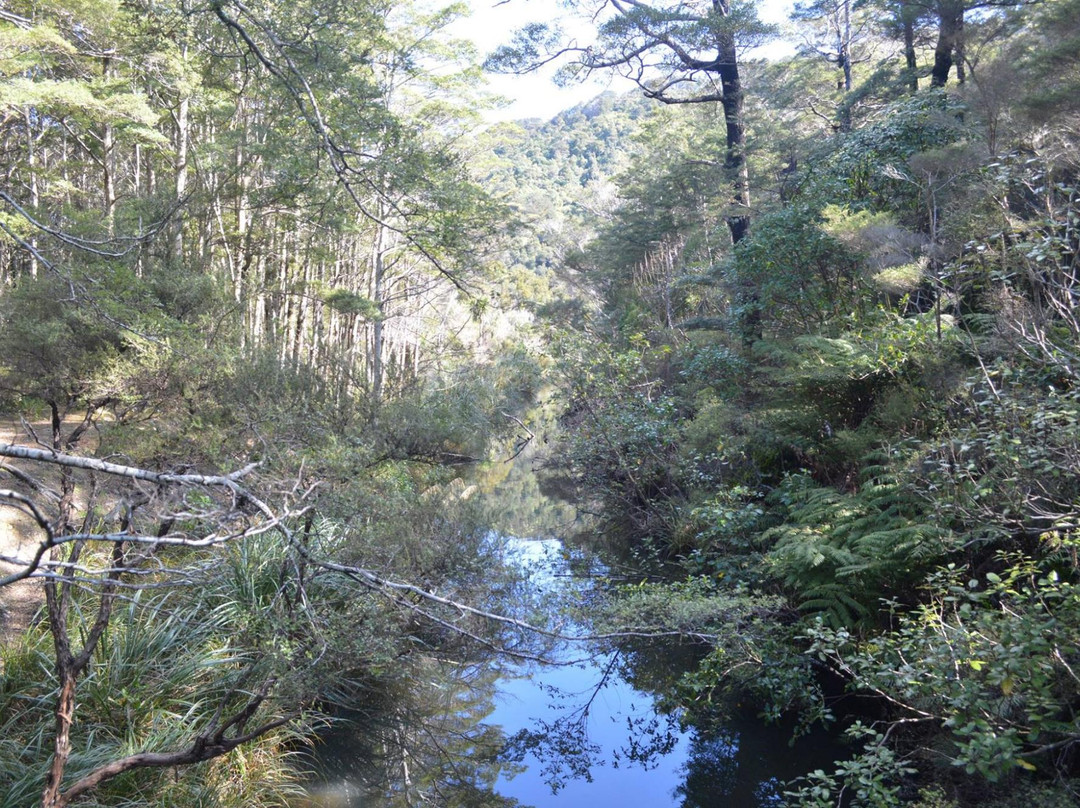 Butterfly Creek-惠灵顿必去景点
