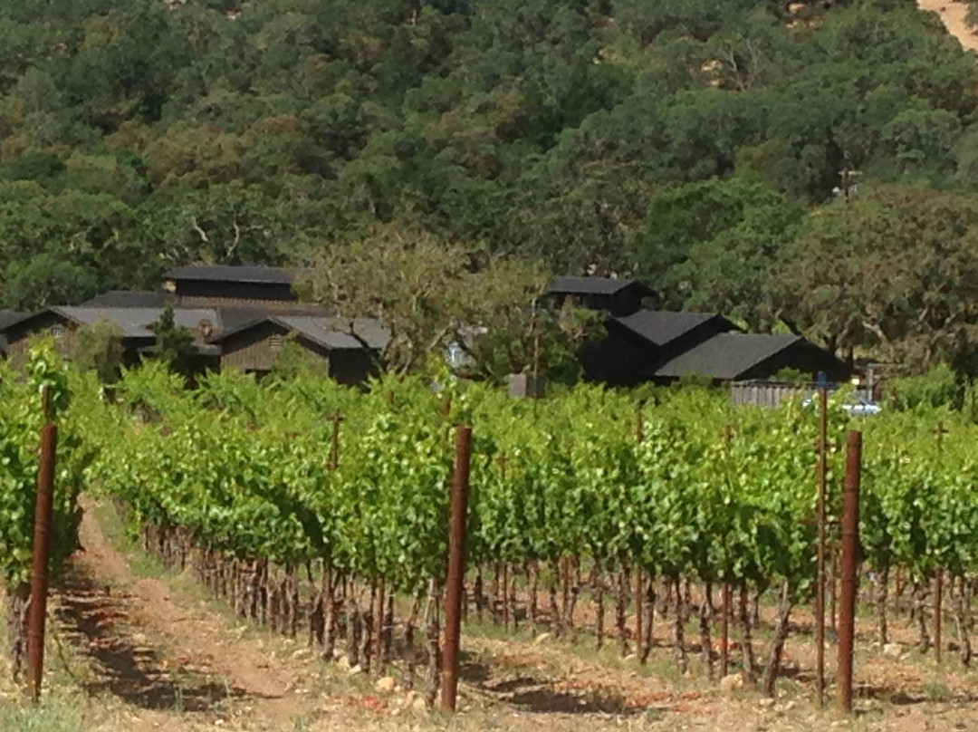 Lasseter Family Winery景点图片