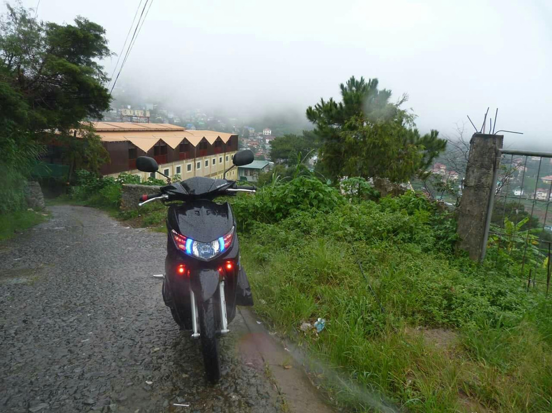 Lion Park-碧瑶必去景点