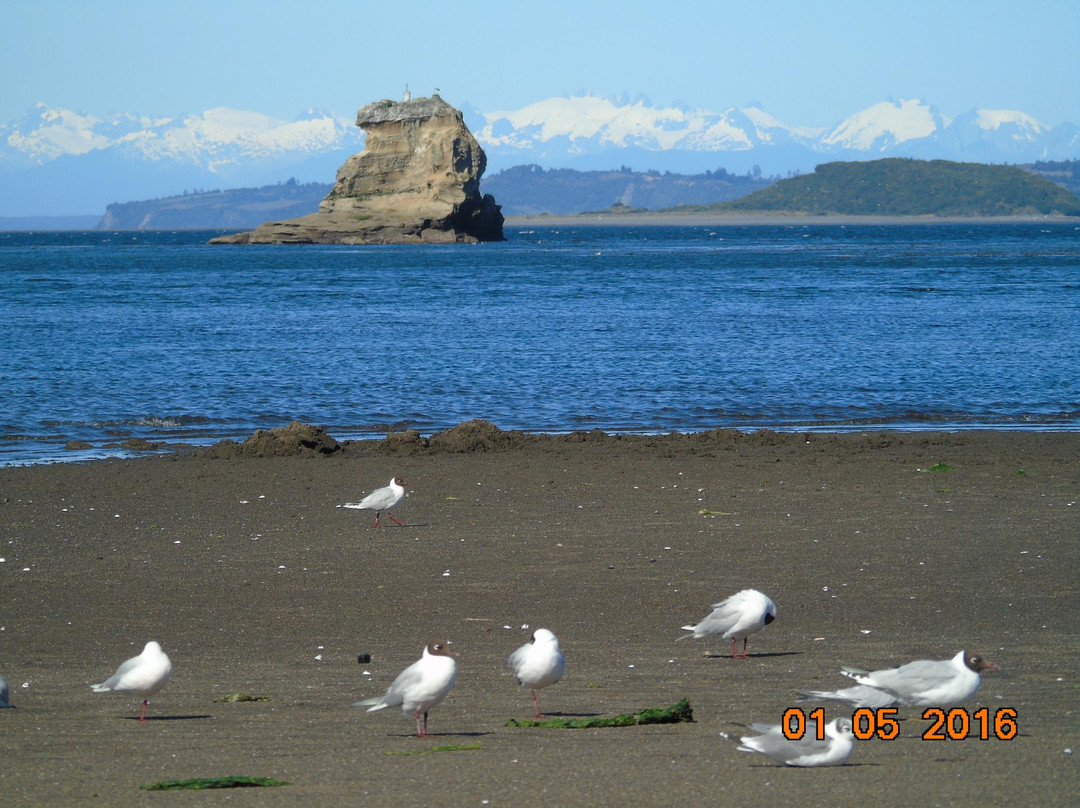 Isla de Quinchao-奇洛埃岛必去景点