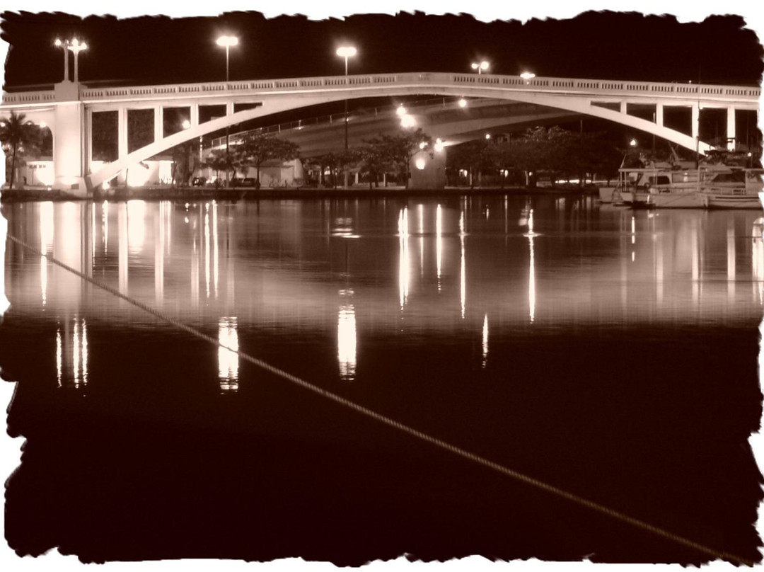 Feliciano Sodre Bridge景点图片