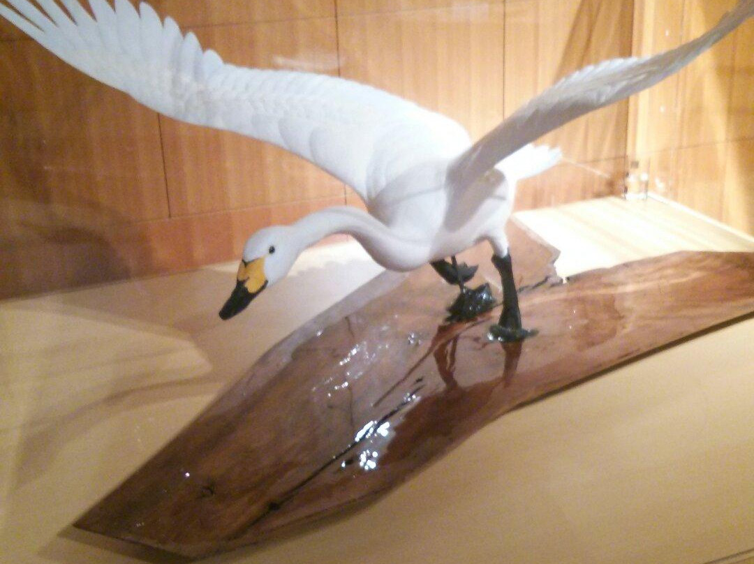 Yonago Waterbird Sanctuary-米子市必去景点