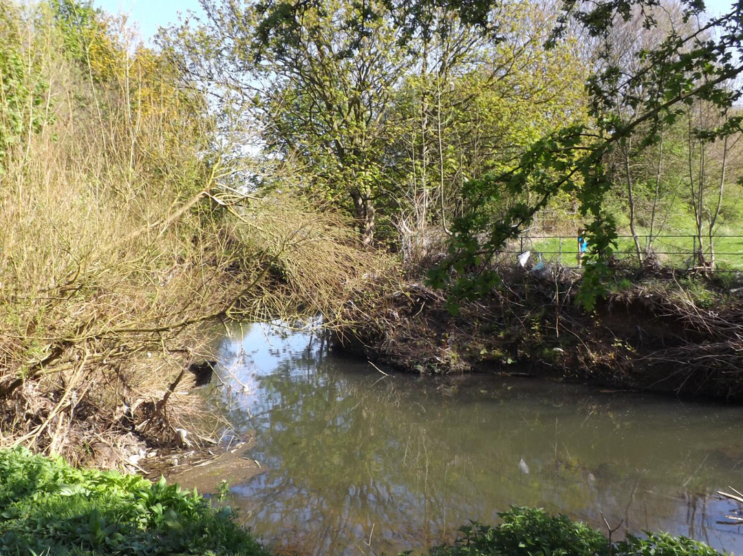 Dearne Valley Park景点图片