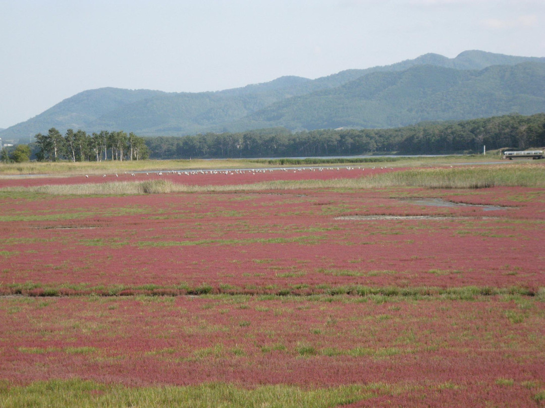 Cape Kimuaneppu-佐吕间町必去景点