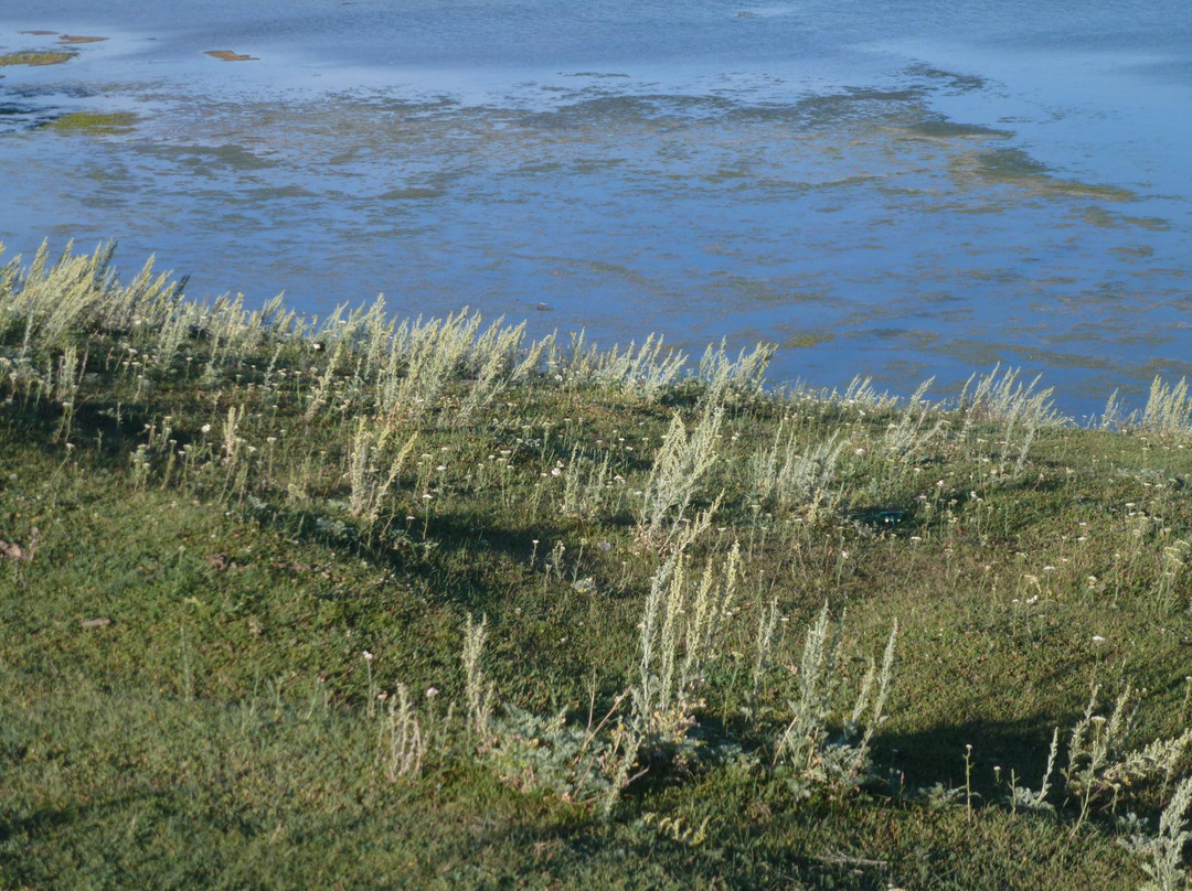 Lake Markakol-East Kazakhstan Province必去景点