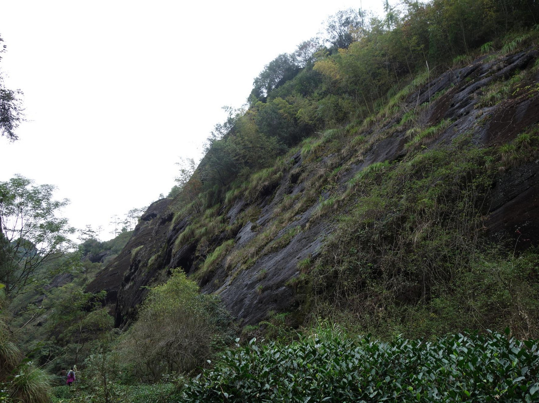 流香涧-南平市必去景点