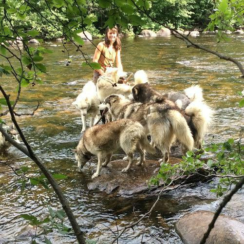 L'Anse-Saint-Jean酒店住宿-La Grangette