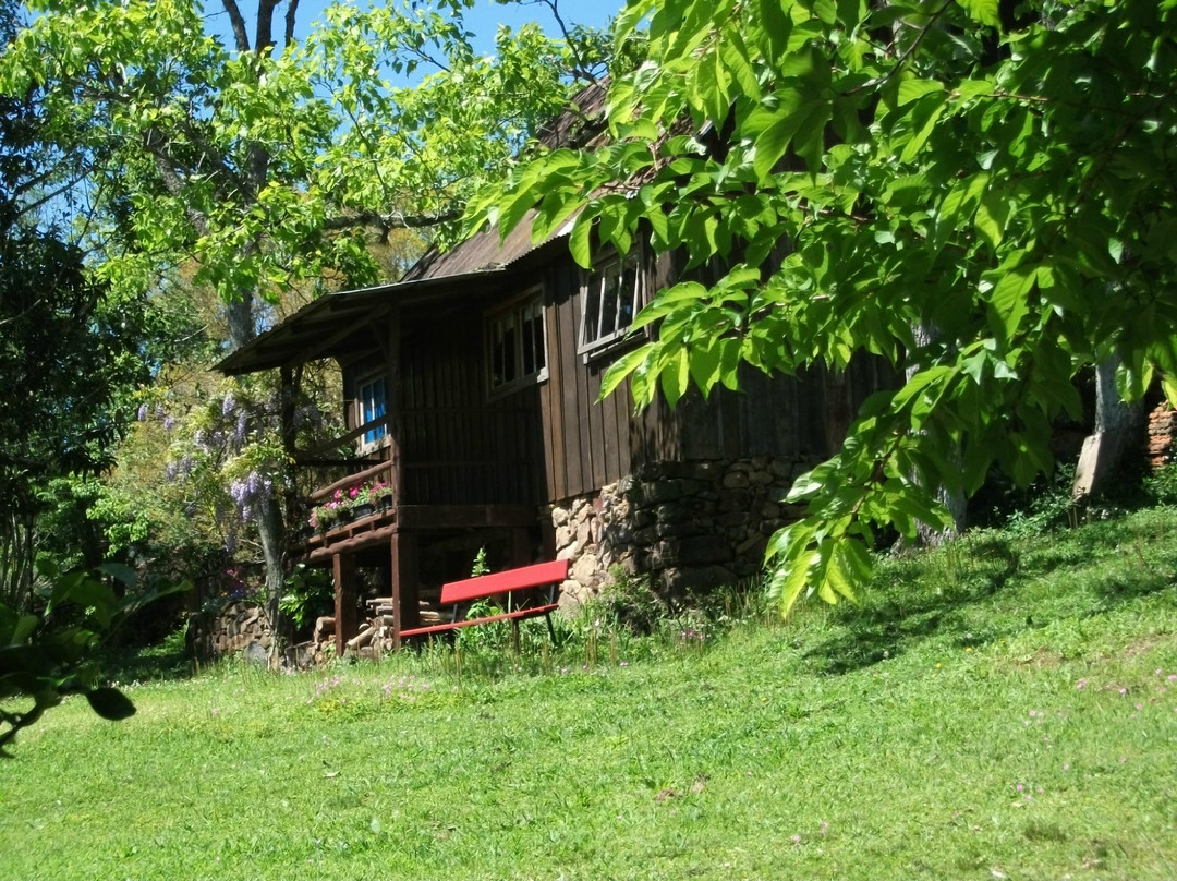 Familia Alberto Hillebrand Museum-Nova Petropolis必去景点