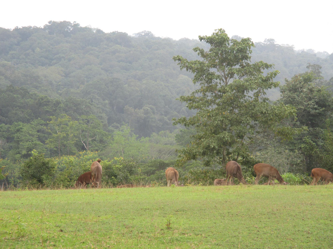 Phu Khieo Wildlife Reserve景点图片