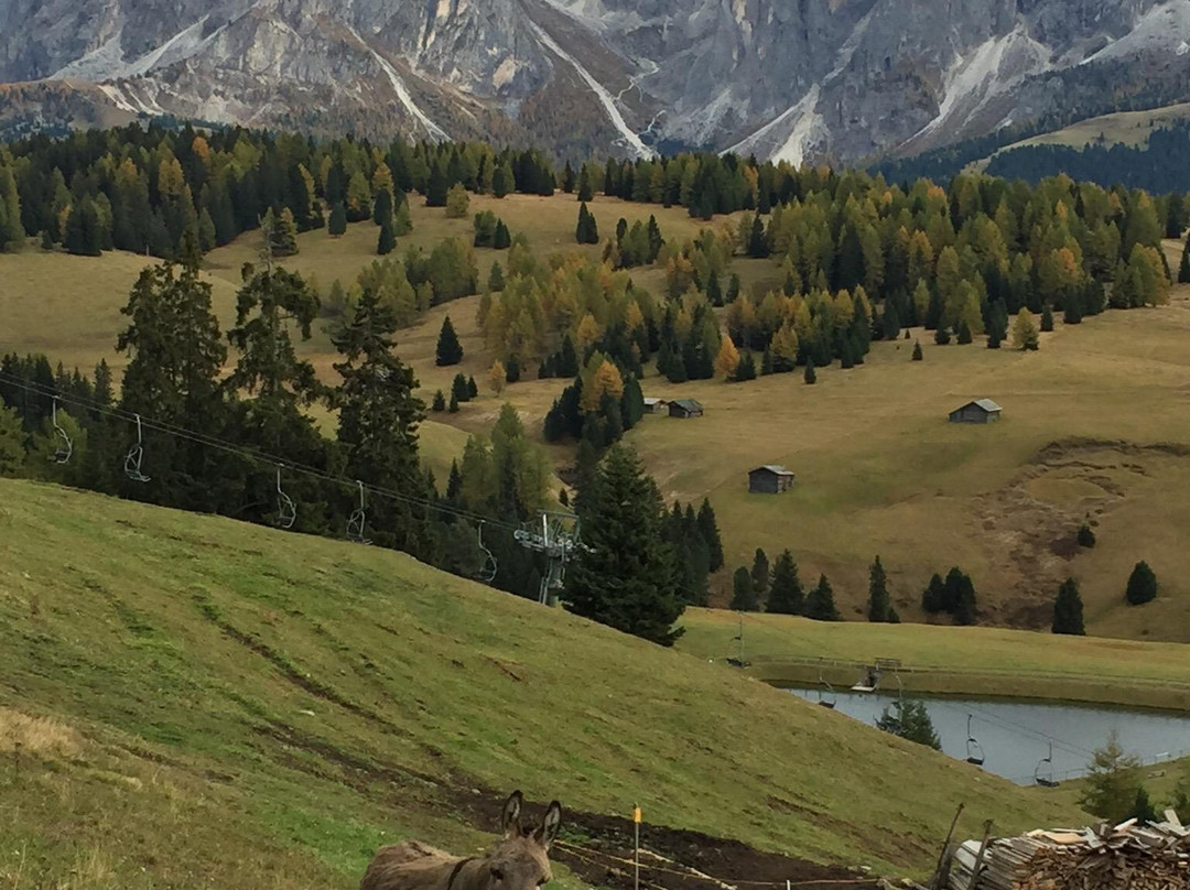 Funivia Ortisei Alpe Di Siusi景点图片
