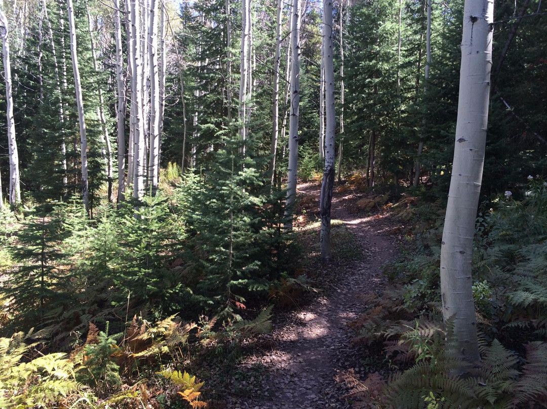 Emerald Mountain-斯廷博特斯普林斯必去景点