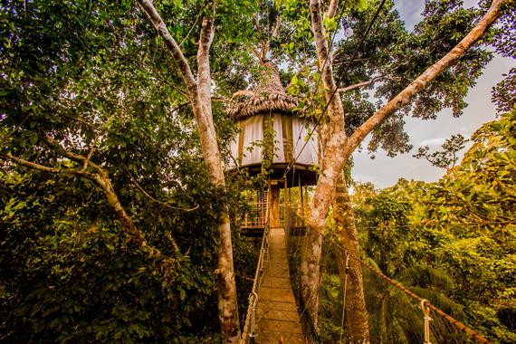 Treehouse Lodge