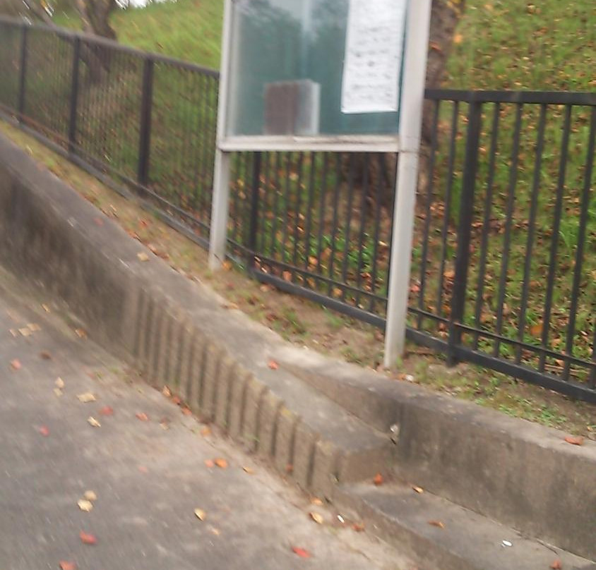 Oso Park-常滑市必去景点