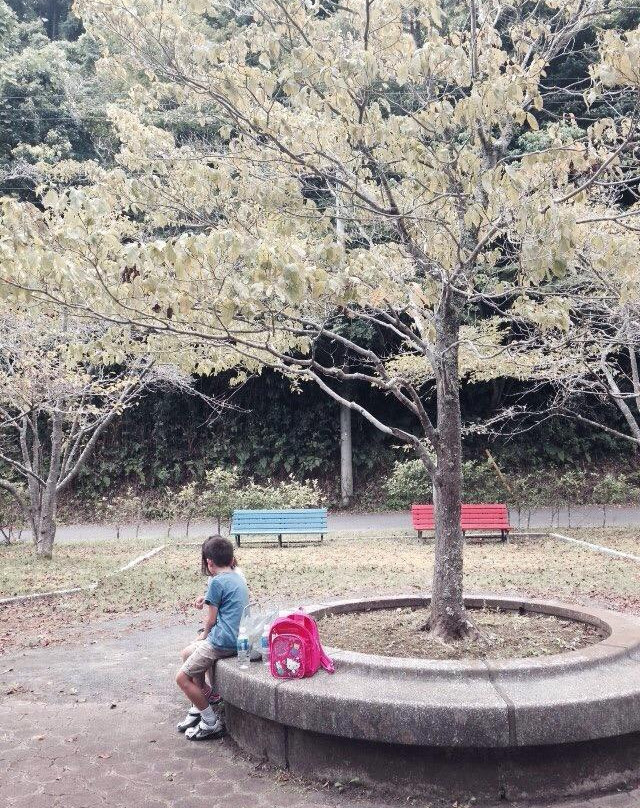 Mt. Otowa Kiyomizu Temple-夷隅市必去景点