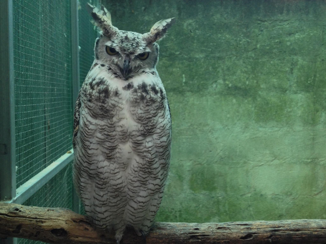 Museo di Storia Naturale del Salento-Calimera必去景点