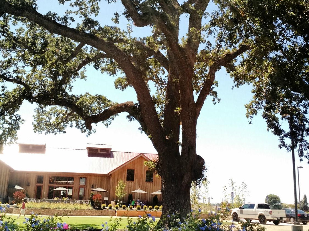 Oak Farm Vineyards-洛迪必去景点