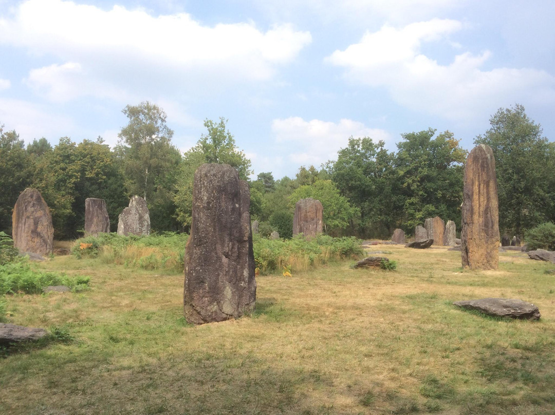 Menhirs de Monteneuf景点图片