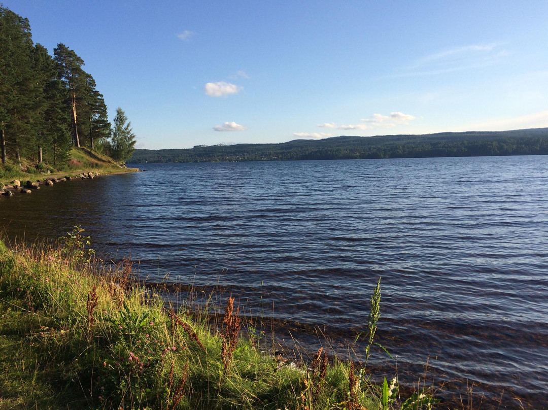 Siljansnas餐馆和美食-Leksand Strand Restaurang