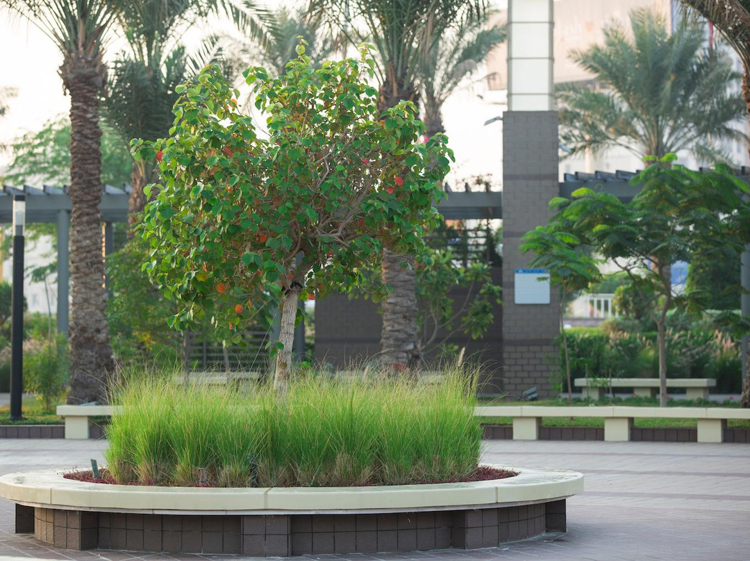 Prince Saud Bin Naif Park-Dhahran必去景点