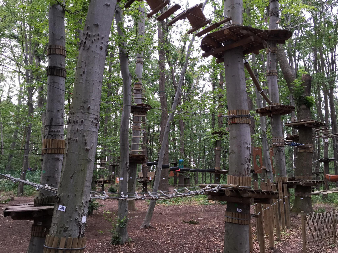 Challengeland Adventure Park景点图片