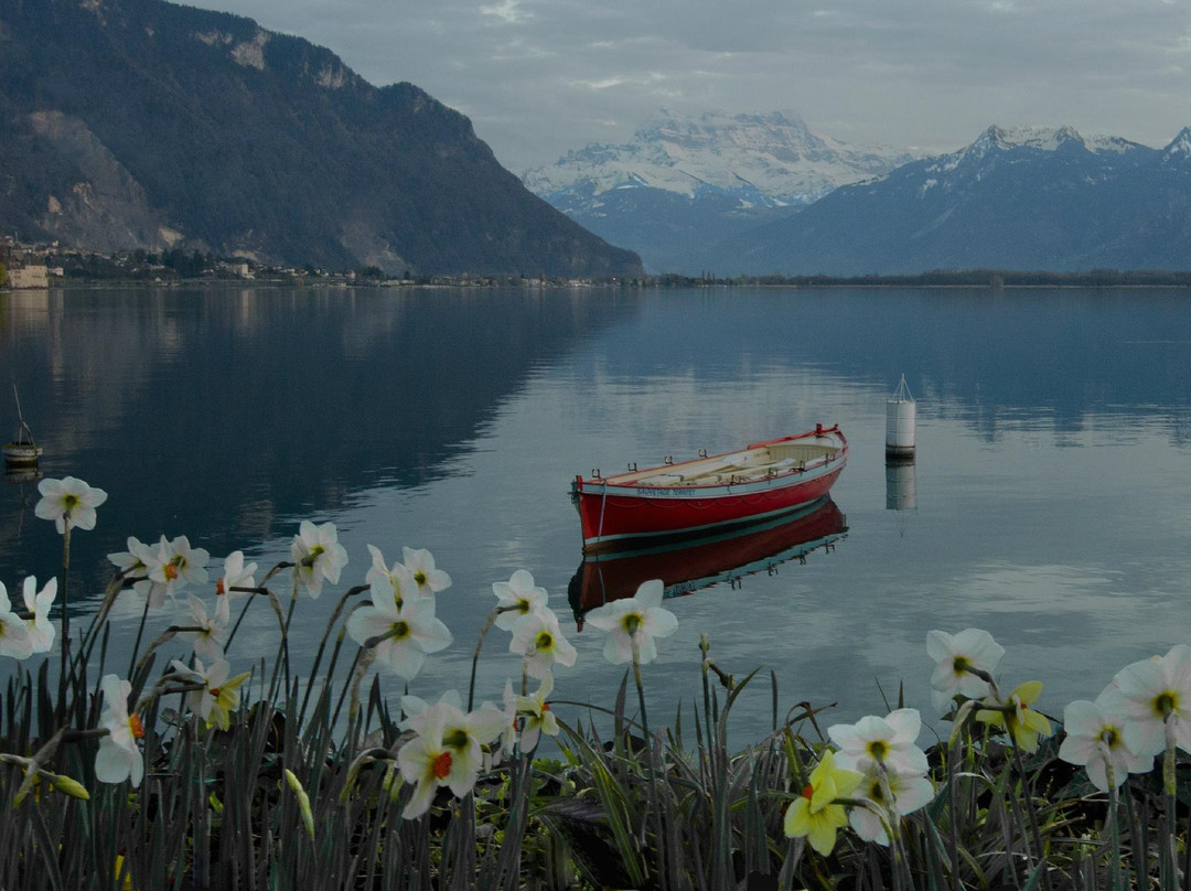泰里特旅游攻略图片