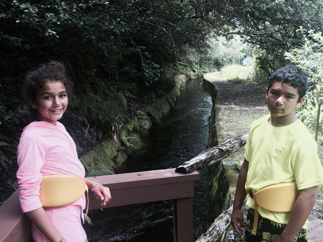 Flumin’ Kohala-哈威必去景点