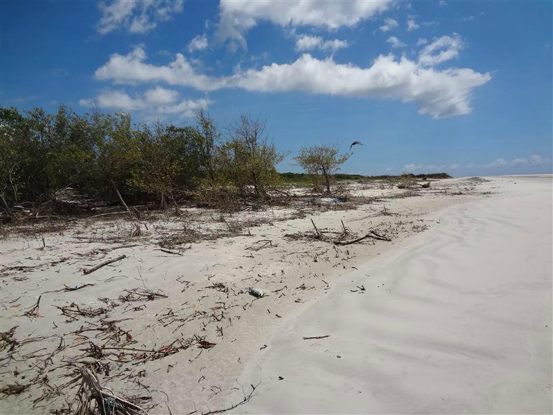 Ilha de Romana-Curuca必去景点