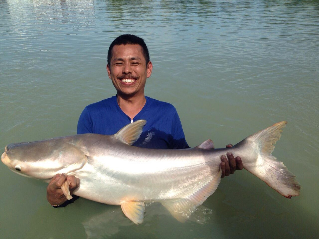 TopCats Fishing Resort-塔林必去景点