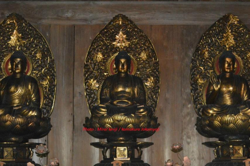 Joukoumyouji Temple-镰仓市必去景点