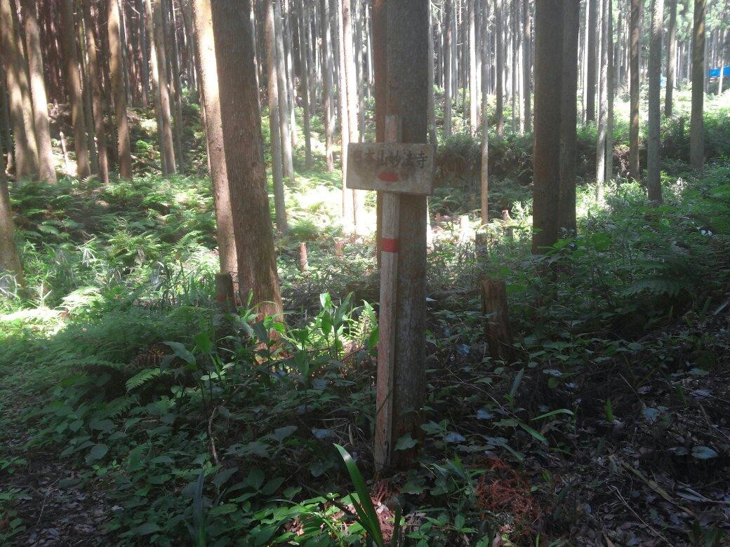 Momoo no Taki Falls-天理市必去景点