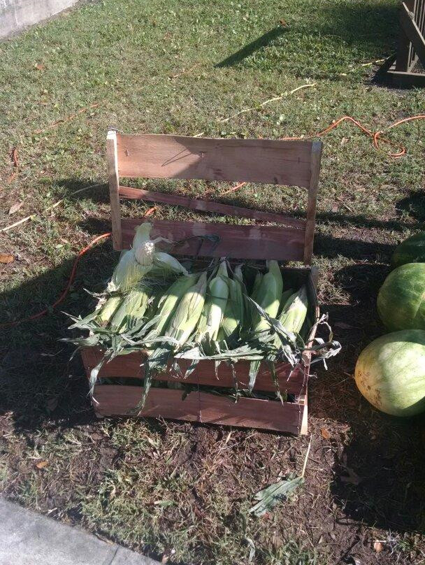 Fernandina Farmer's Market-费尔南迪纳岛必去景点