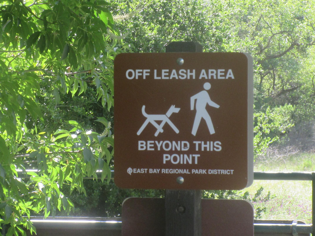 Castle Rock Regional Recreation Area-核桃溪必去景点