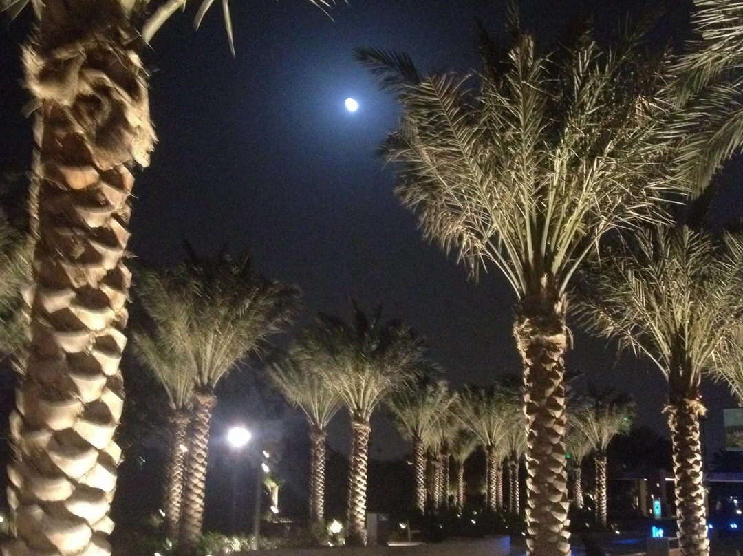 穆什里夫中央公园-阿布扎比必去景点