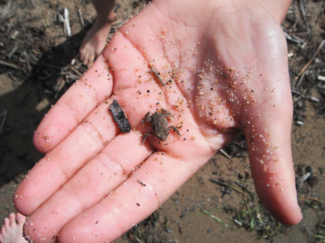 Sandbar Lake Provincial Park-Ignace必去景点