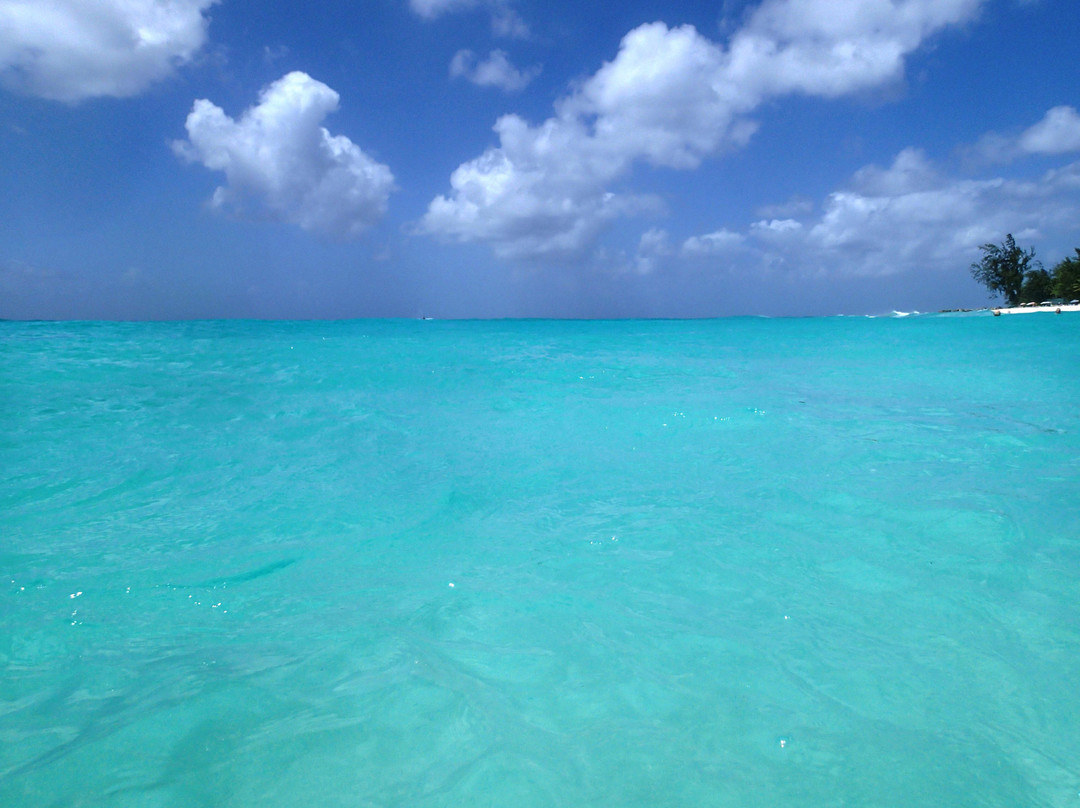 Dover Beach-圣罗伦斯峡必去景点